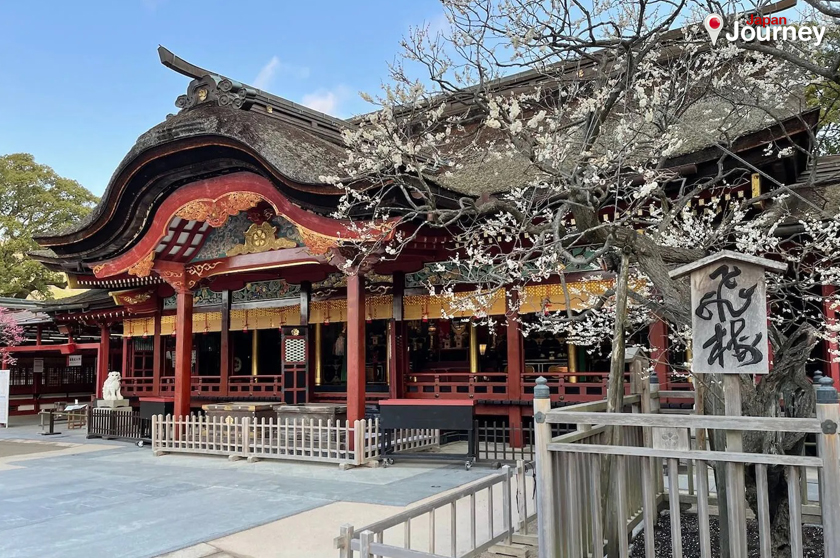 ศาลเจ้าดาไซฟุเท็มมังกู (Dazaifu Tenmangu Shrine)